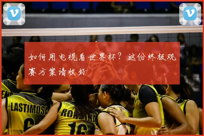 如何用电视看世界杯?这份终极观赛方案请收好