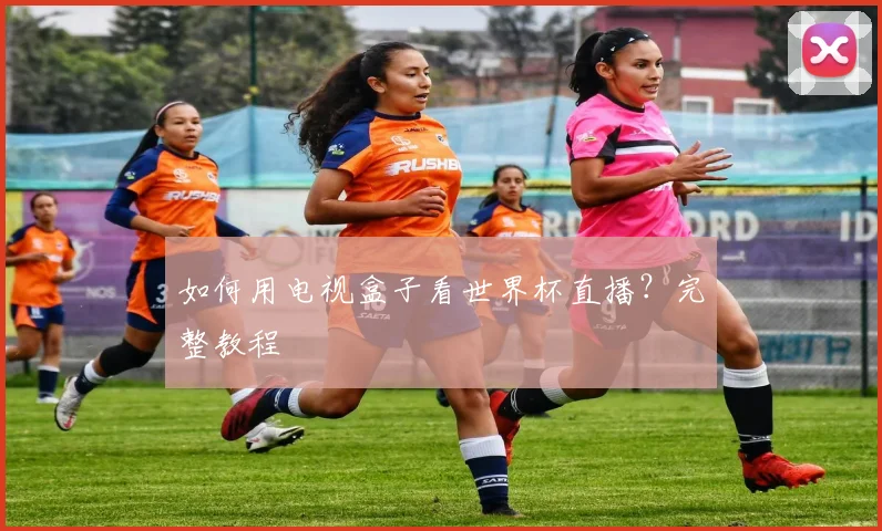 如何用电视盒子看世界杯直播？完整教程