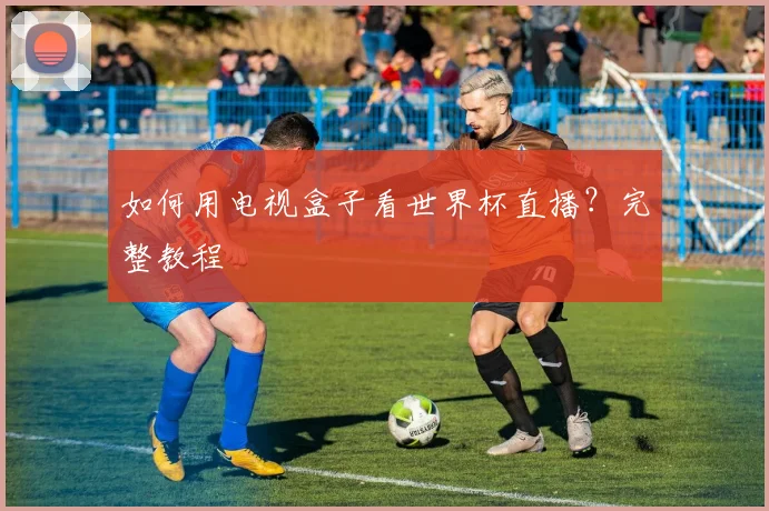 如何用电视盒子看世界杯直播？完整教程